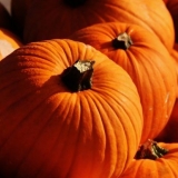 Zašto je bundeva korisna: sastav, sadržaj kalorija, sadržaj vitamina